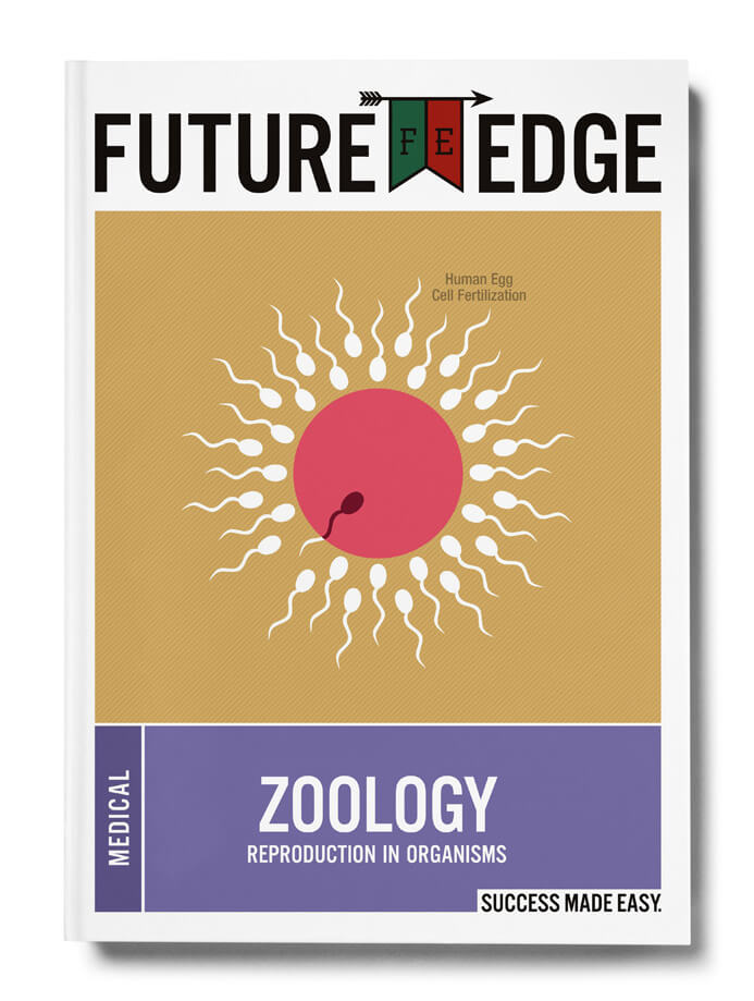 CogCulture- Future Edge 8
